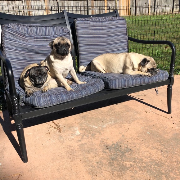 Meet the Posher - Picture 2 of 5